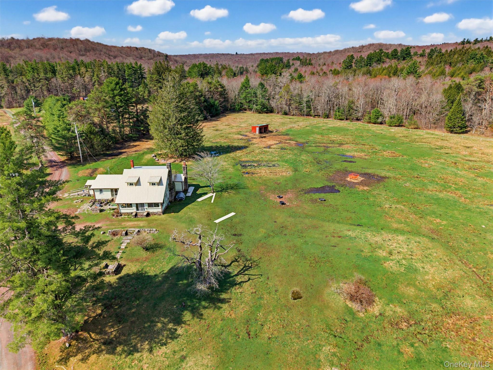 85 Lenape Lake Road Livingston Manor, NY 12758 - Photo 1 of 15 a view of a big yard with green space