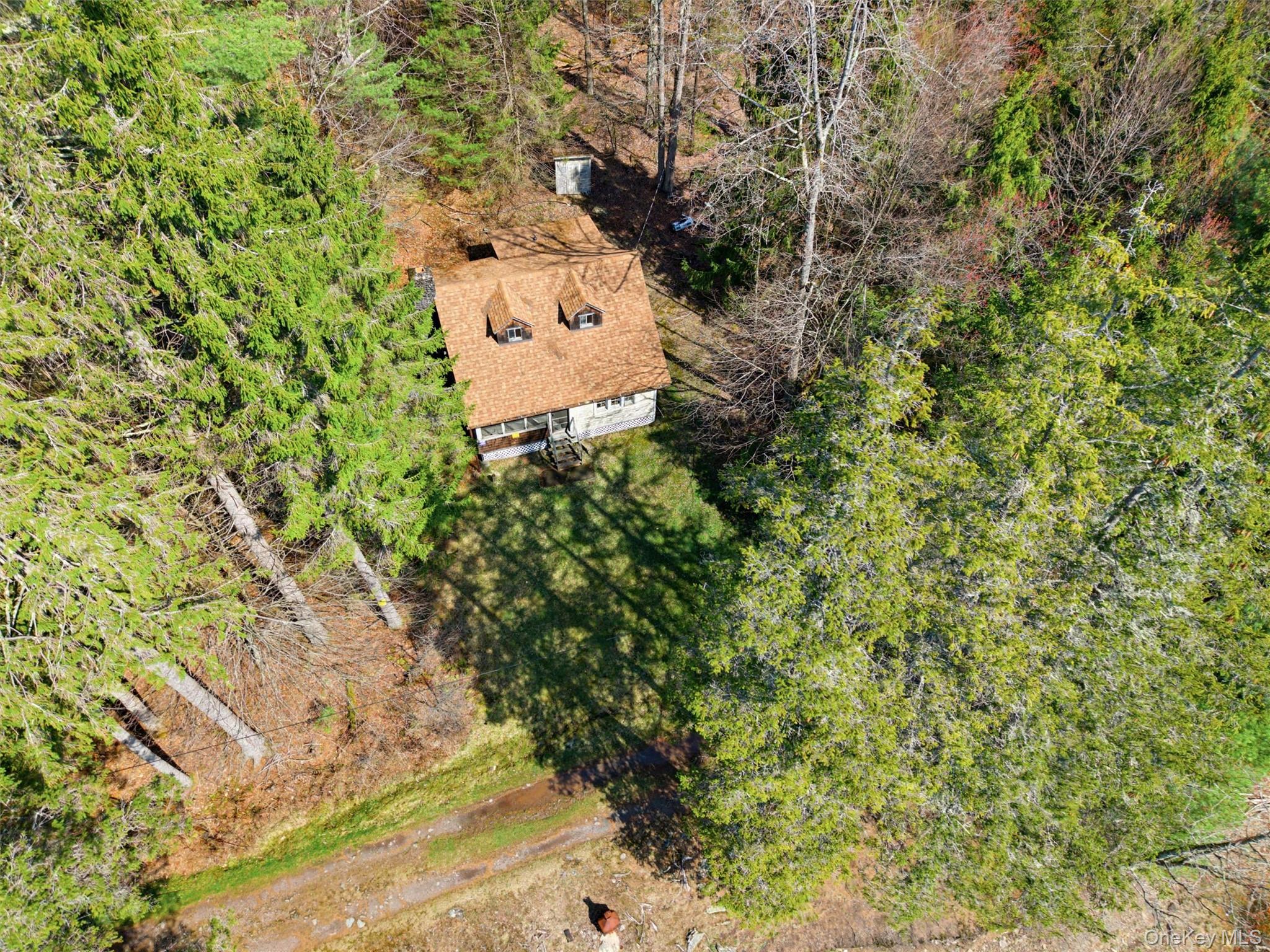 85 Lenape Lake Road Livingston Manor, NY 12758 - Photo 11 of 15
