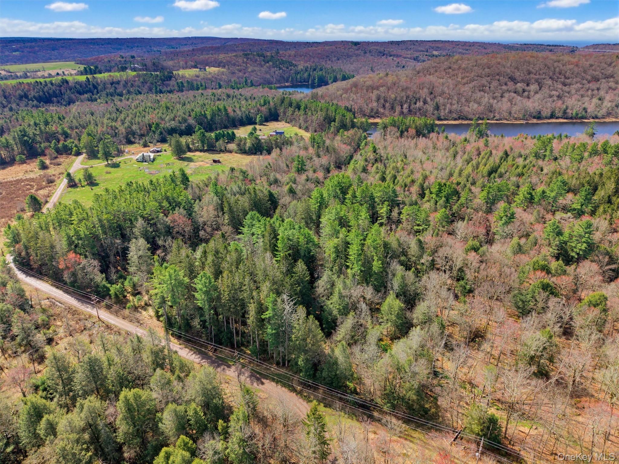 85 Lenape Lake Road Livingston Manor, NY 12758 - Photo 13 of 15 a view of a city with green field