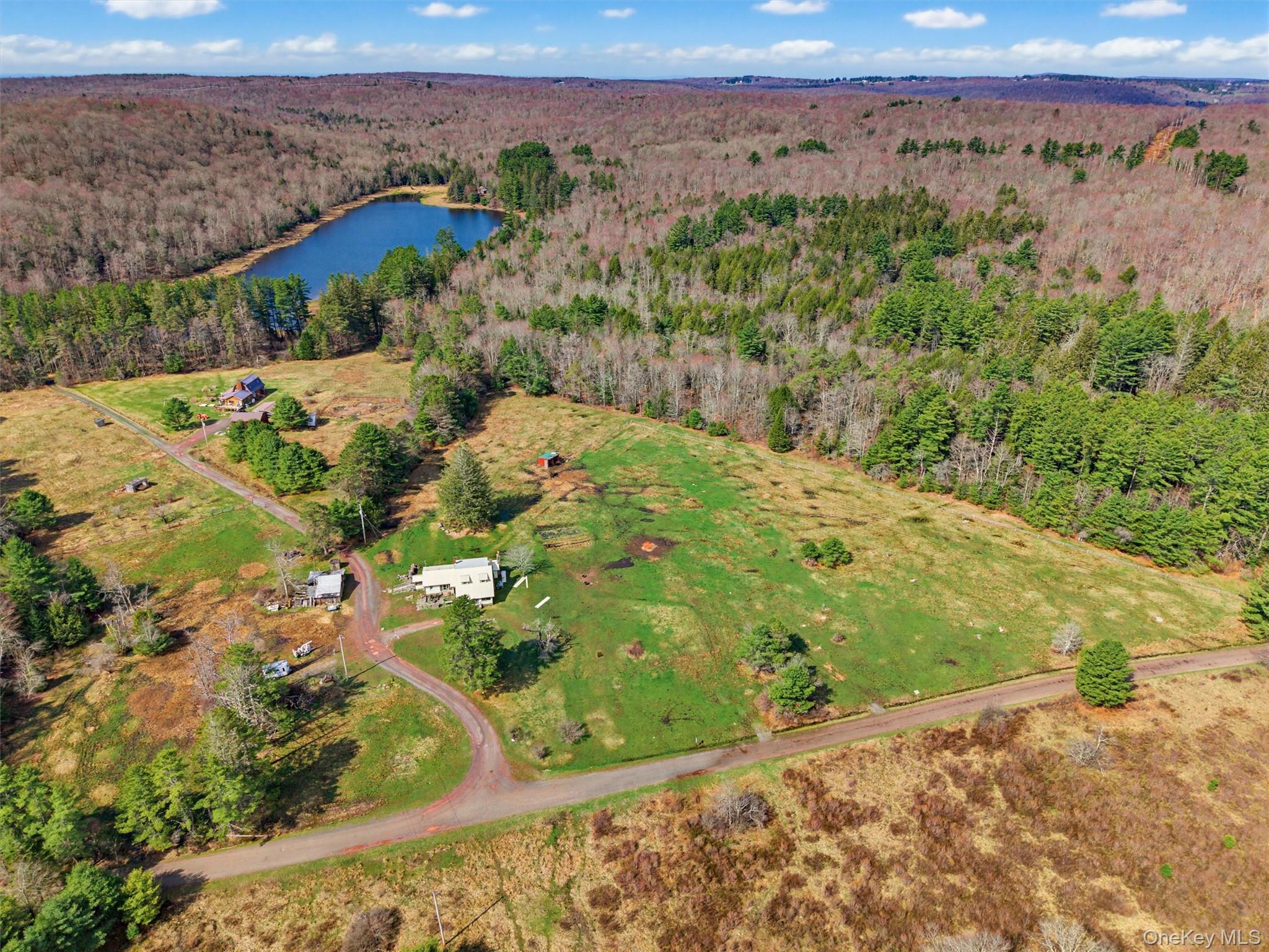 85 Lenape Lake Road Livingston Manor, NY 12758 - Photo 2 of 15 a view of a yard with a garden