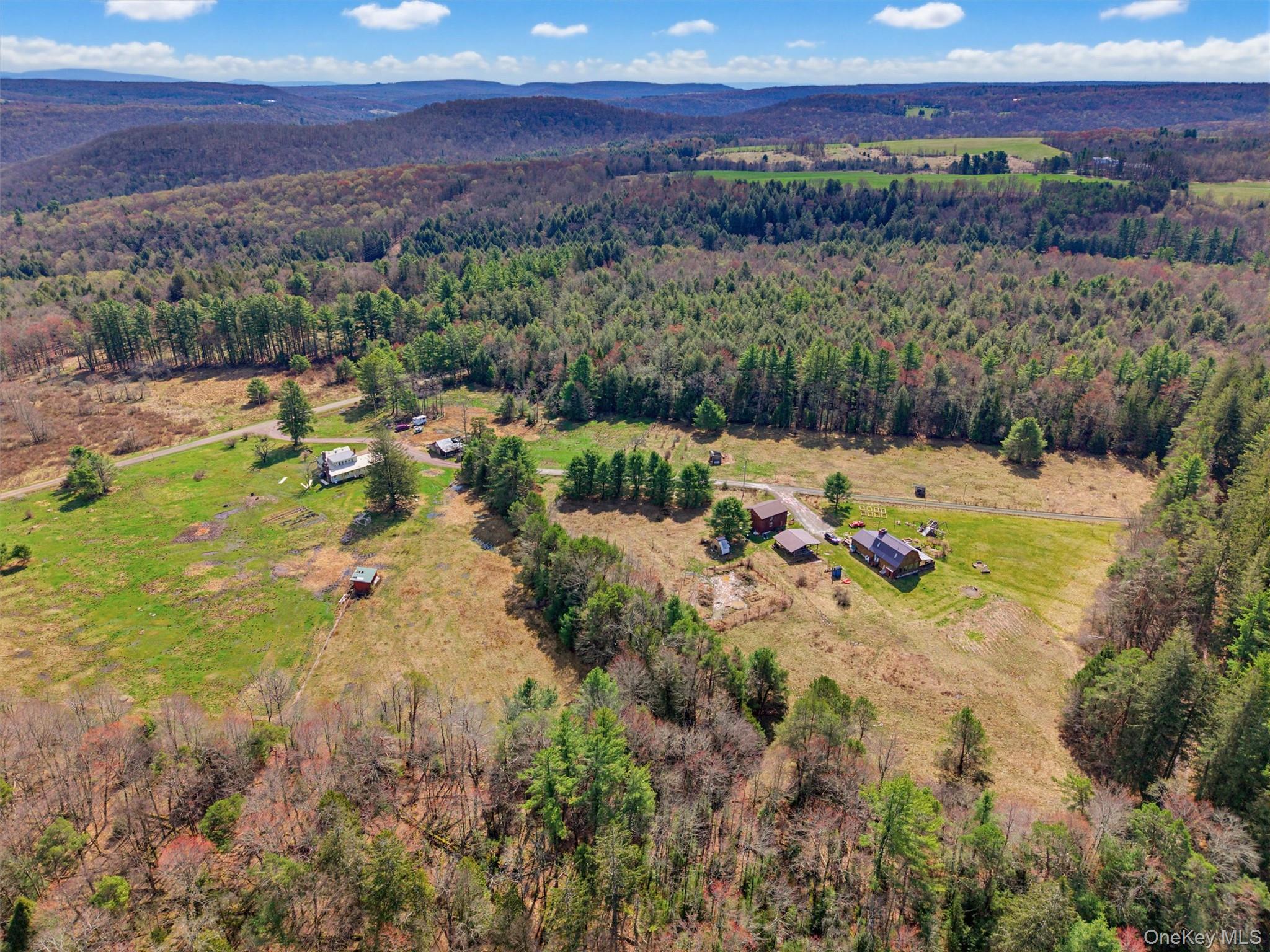 85 Lenape Lake Road Livingston Manor, NY 12758 - Photo 3 of 15 a view of a lake with a mountain