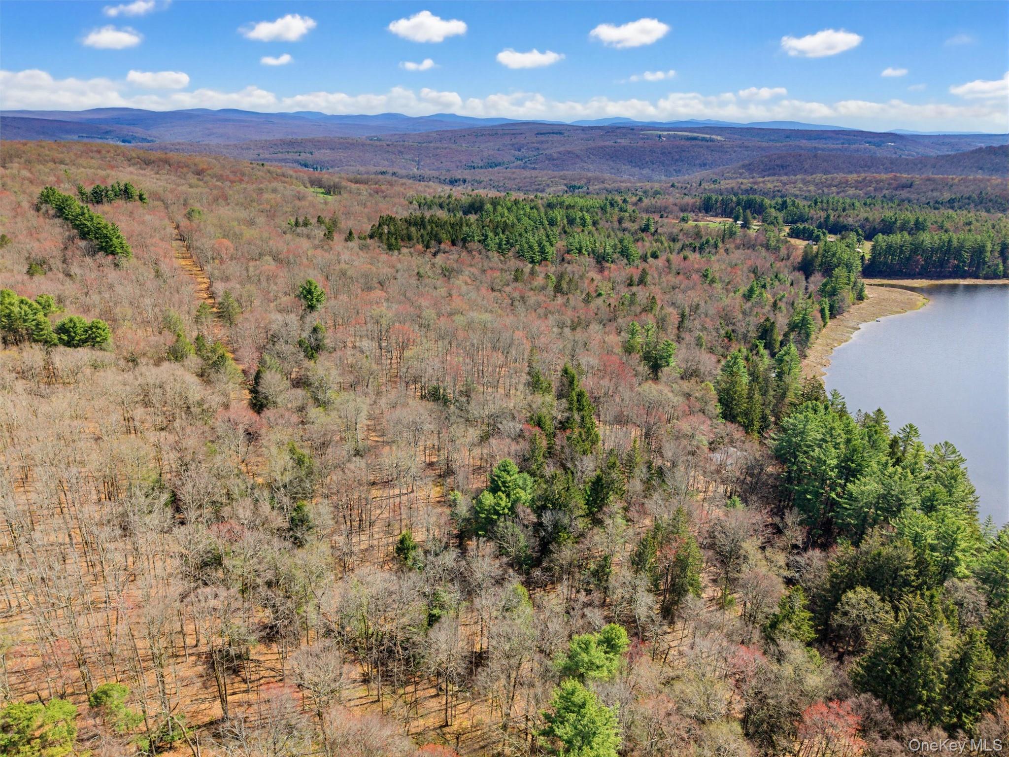 85 Lenape Lake Road Livingston Manor, NY 12758 - Photo 4 of 15