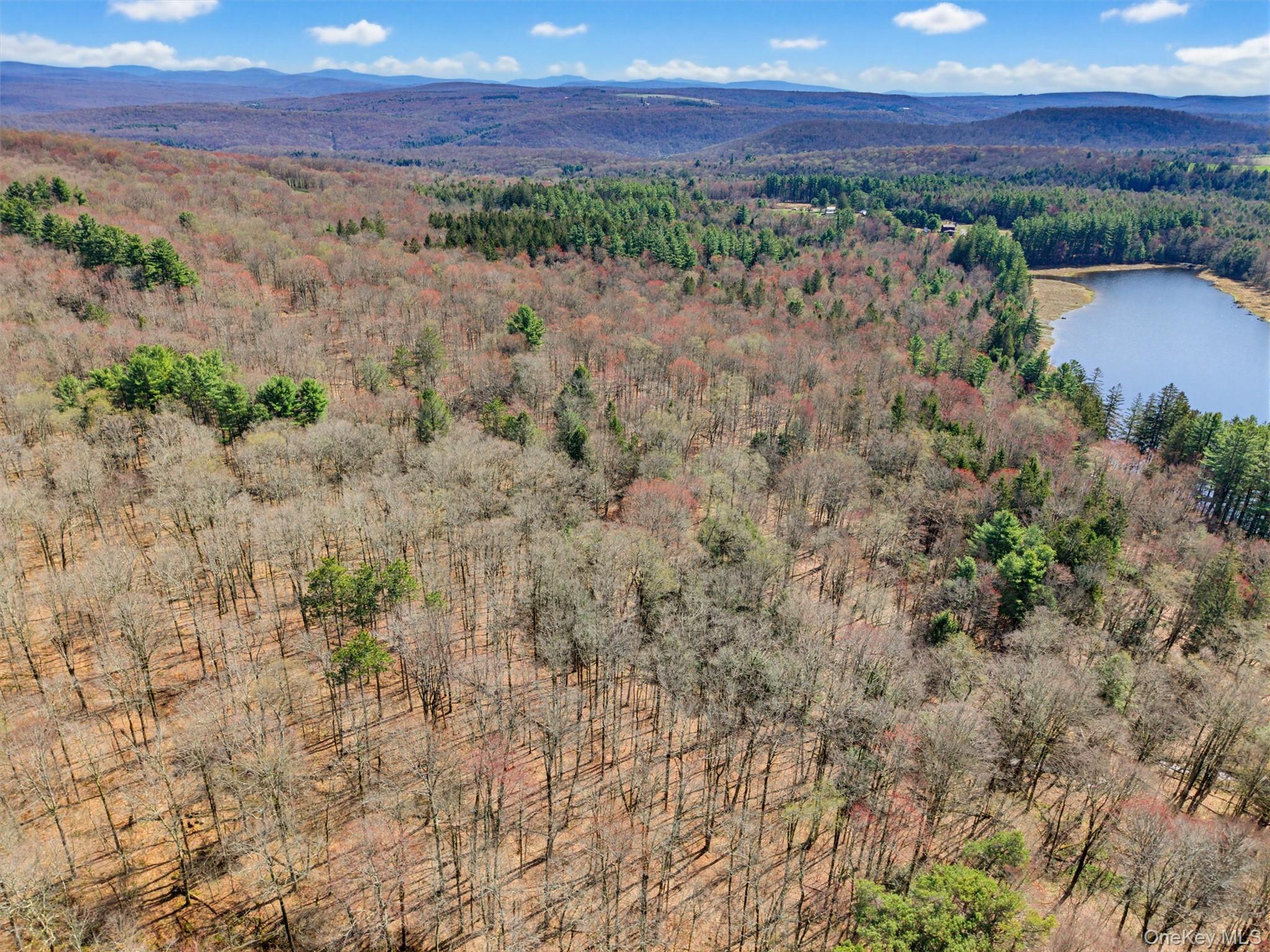 85 Lenape Lake Road Livingston Manor, NY 12758 - Photo 5 of 15 a view of lake with mountain