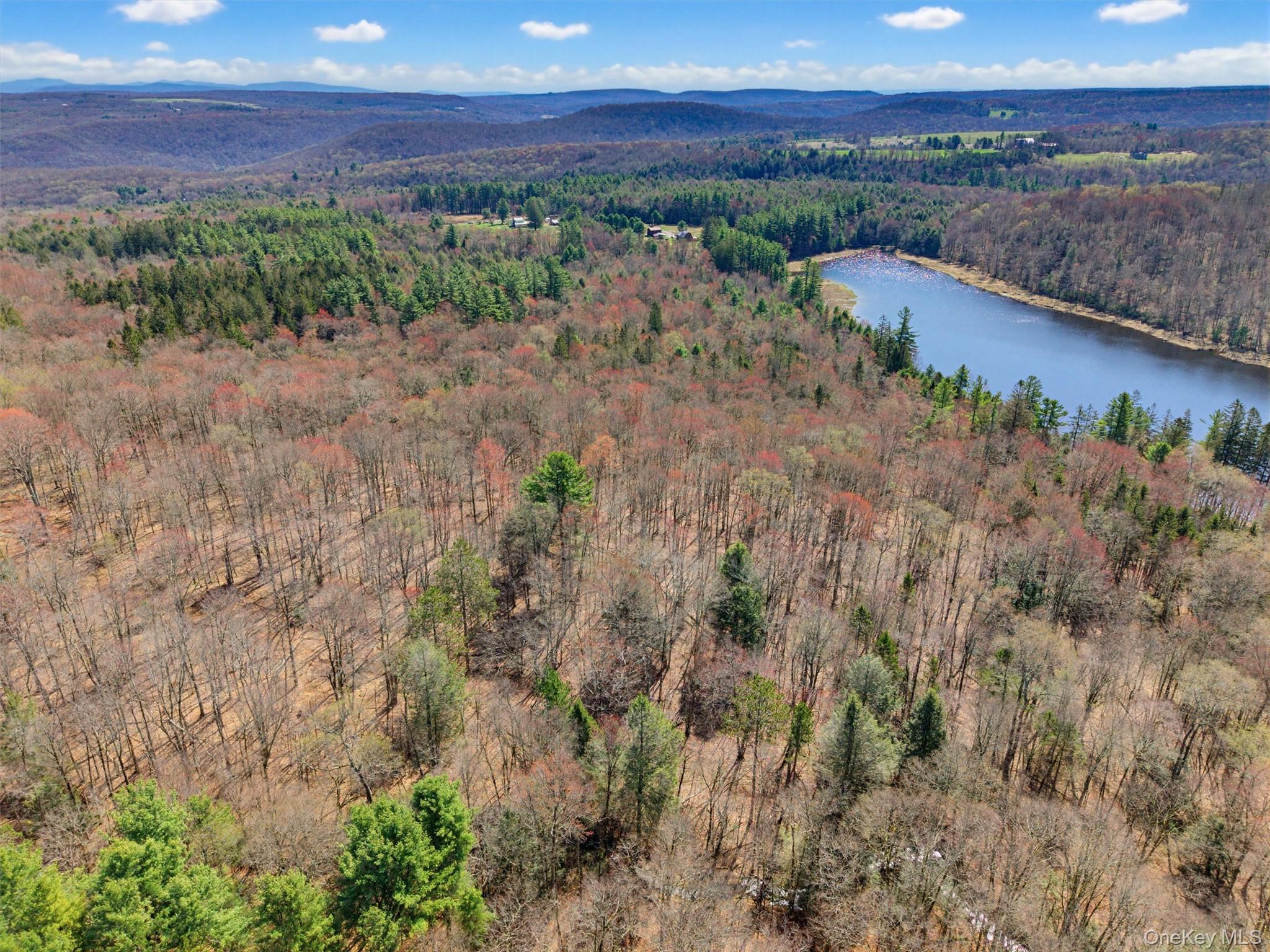 85 Lenape Lake Road Livingston Manor, NY 12758 - Photo 7 of 15 a view of a lake with a mountain in the background