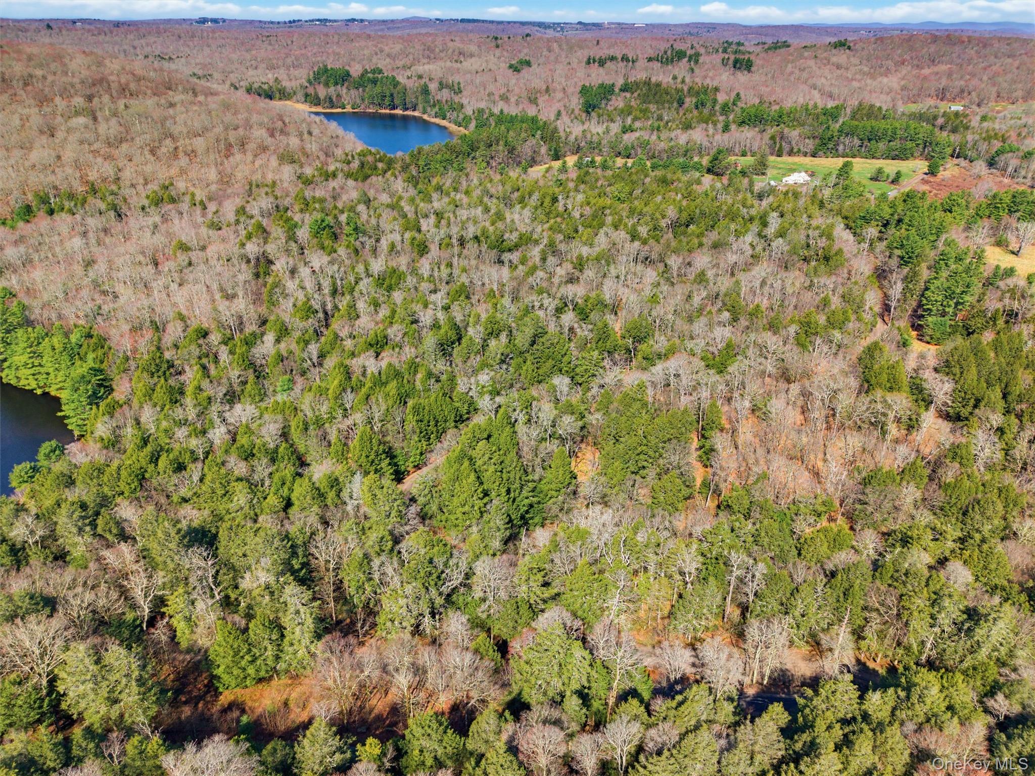 85 Lenape Lake Road Livingston Manor, NY 12758 - Photo 8 of 15 an aerial view of a houses with a yard