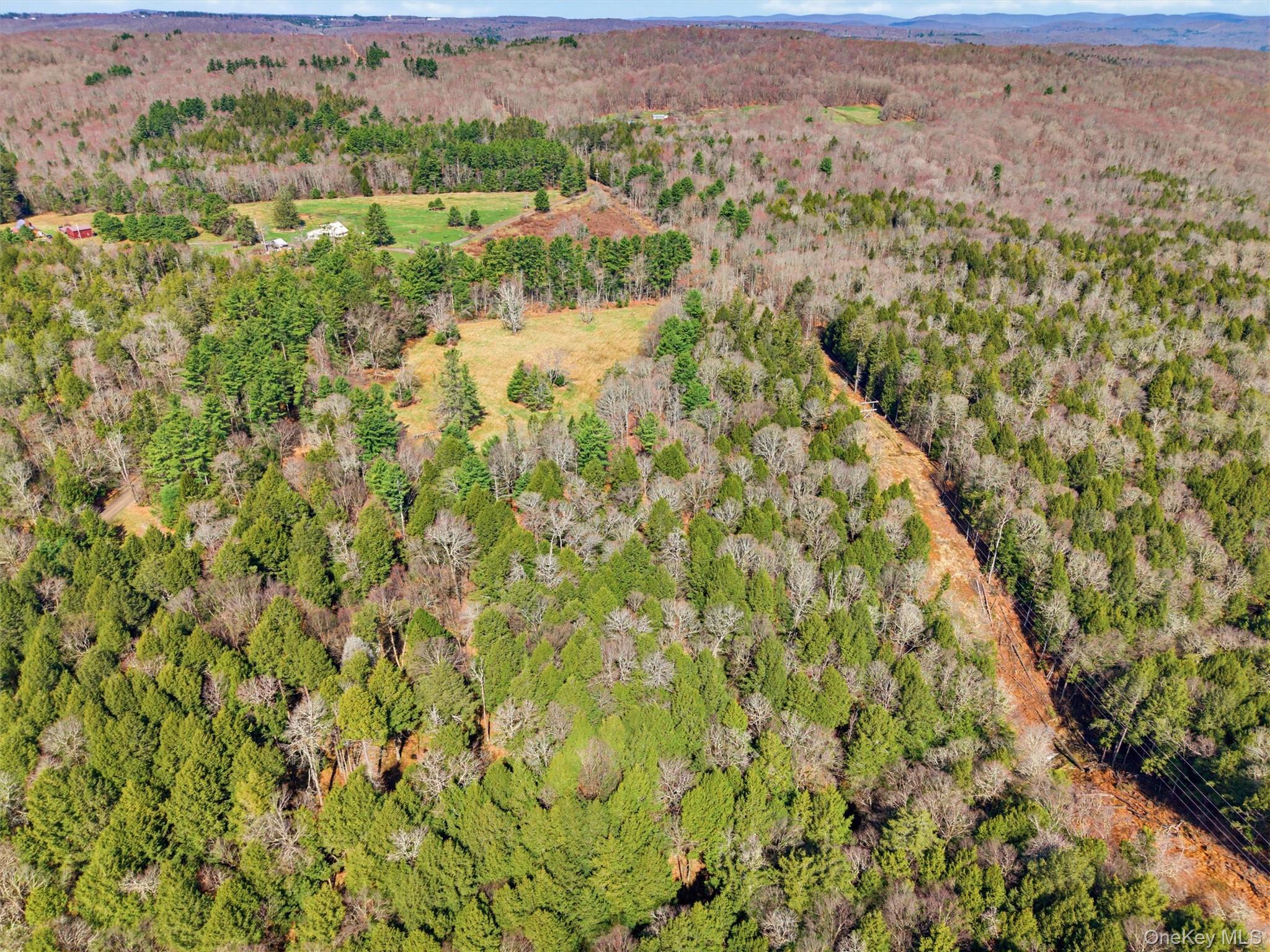 85 Lenape Lake Road Livingston Manor, NY 12758 - Photo 9 of 15 an aerial view of residential houses with outdoor space and trees