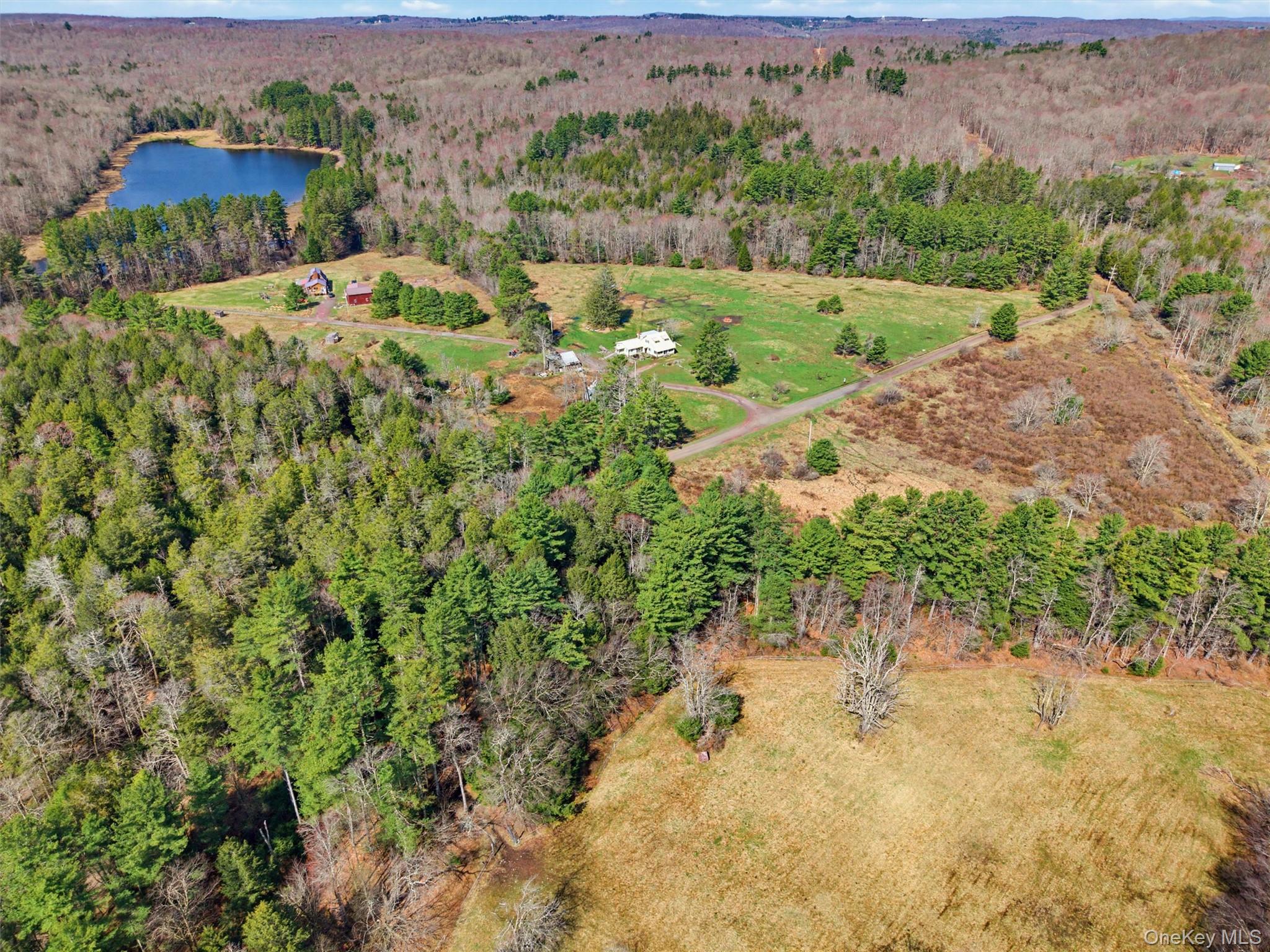 85 Lenape Lake Road Livingston Manor, NY 12758 - Photo 10 of 15 an aerial view of a house with a yard