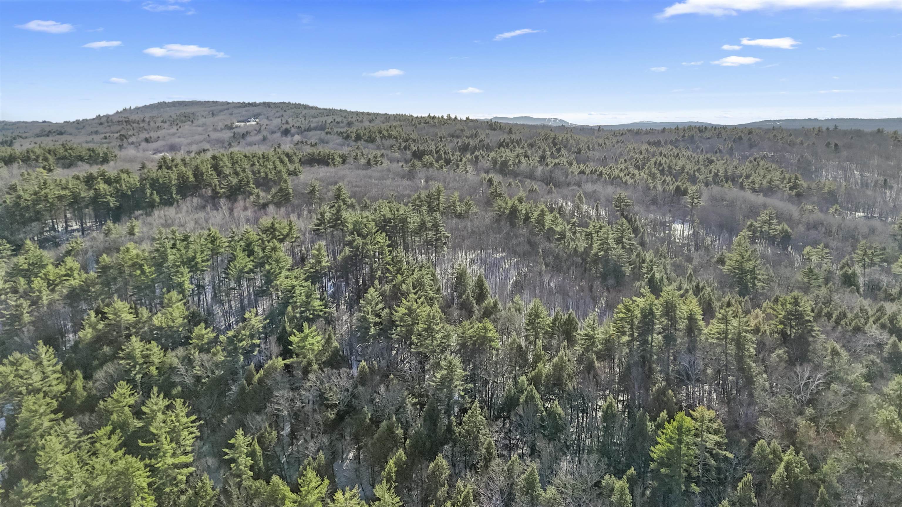 114 Thorndike Road, Unit 114 Weare, NH 03281 - Photo 11 of 16
