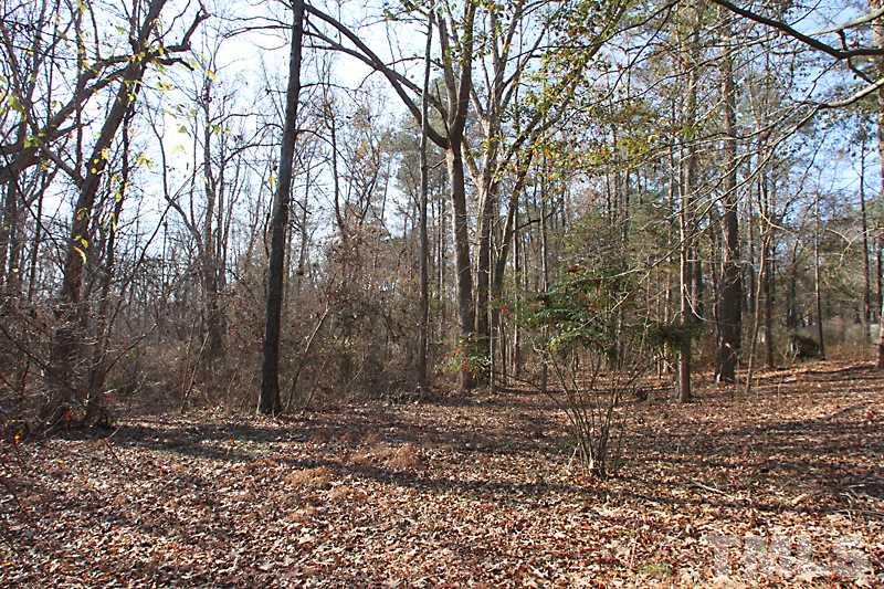 1016 Altice Drive Raleigh, NC 27603 - Photo 3 of 4