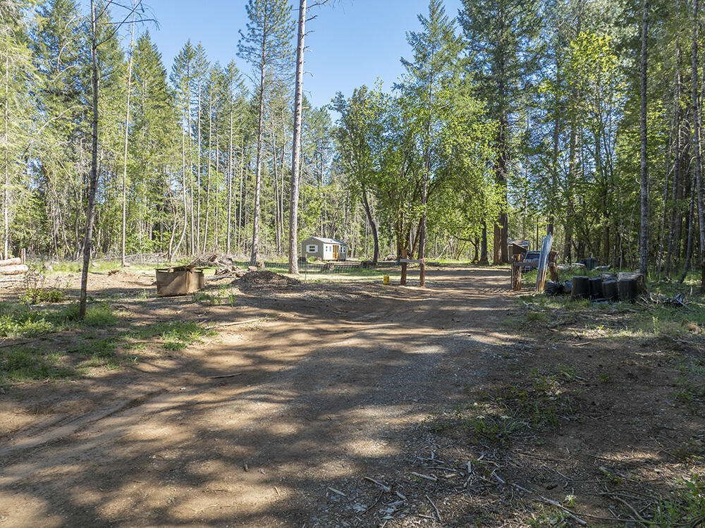382 Garner Road Cave Junction, OR 97523 - Photo 27 of 38 a view of road with trees