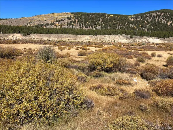 $750,000 | Leadville Land, Leadville, CO 80461