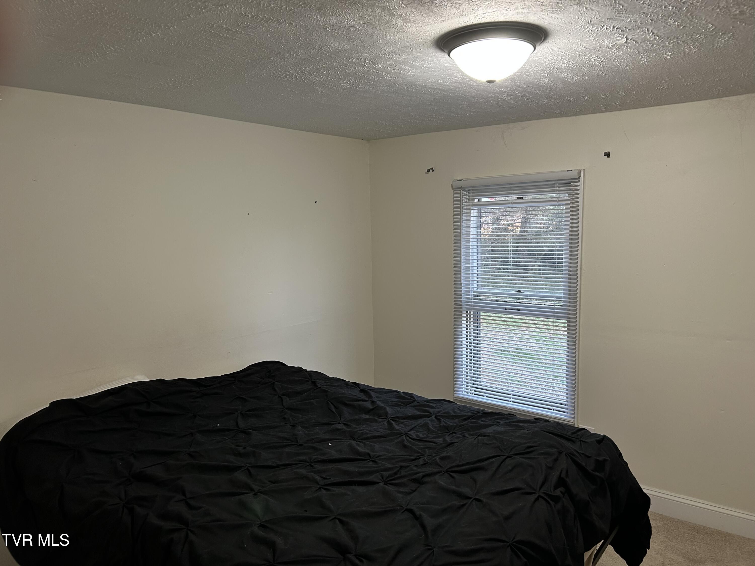 610 Reno Street Rogersville, TN 37857 - Photo 15 of 28 IMG_0257