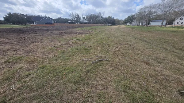 a view of a field with trees