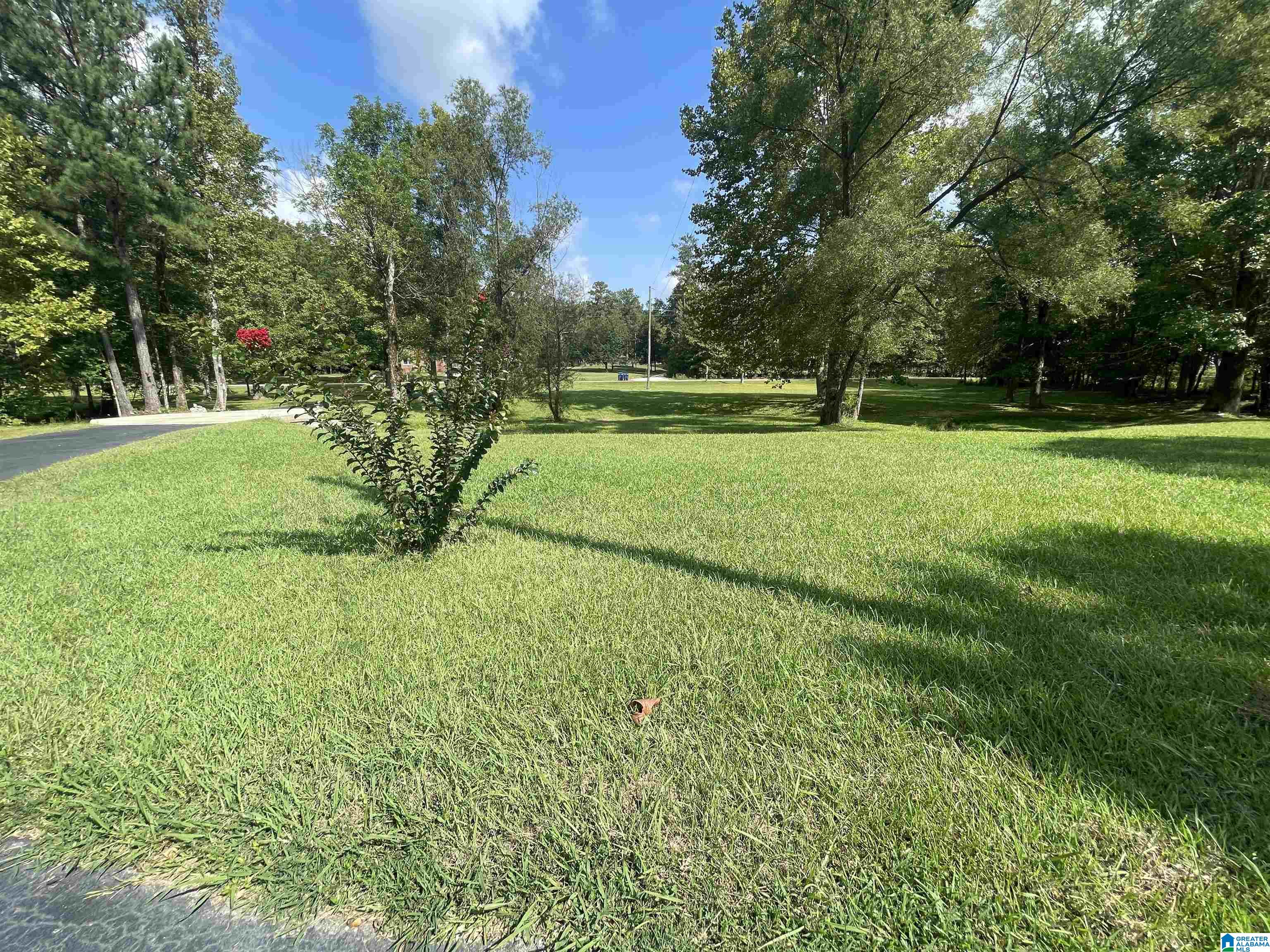 3304 Possum Trot Road Piedmont, AL 36272 - Photo 45 of 60
