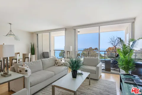 a living room with furniture potted plant and a large window