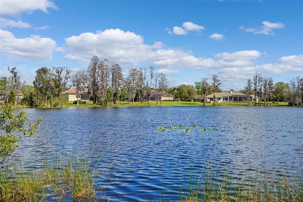 a view of a lake