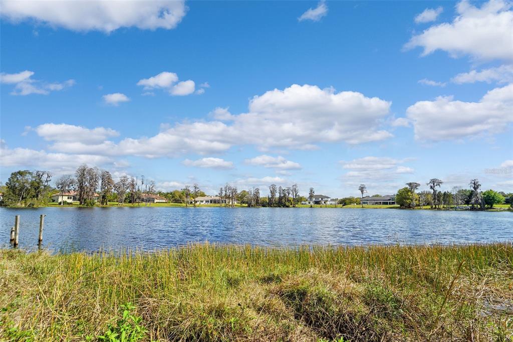 18709 Wayne Road Odessa, FL 33556 - Photo 11 of 34 a view of lake view and mountain in the back