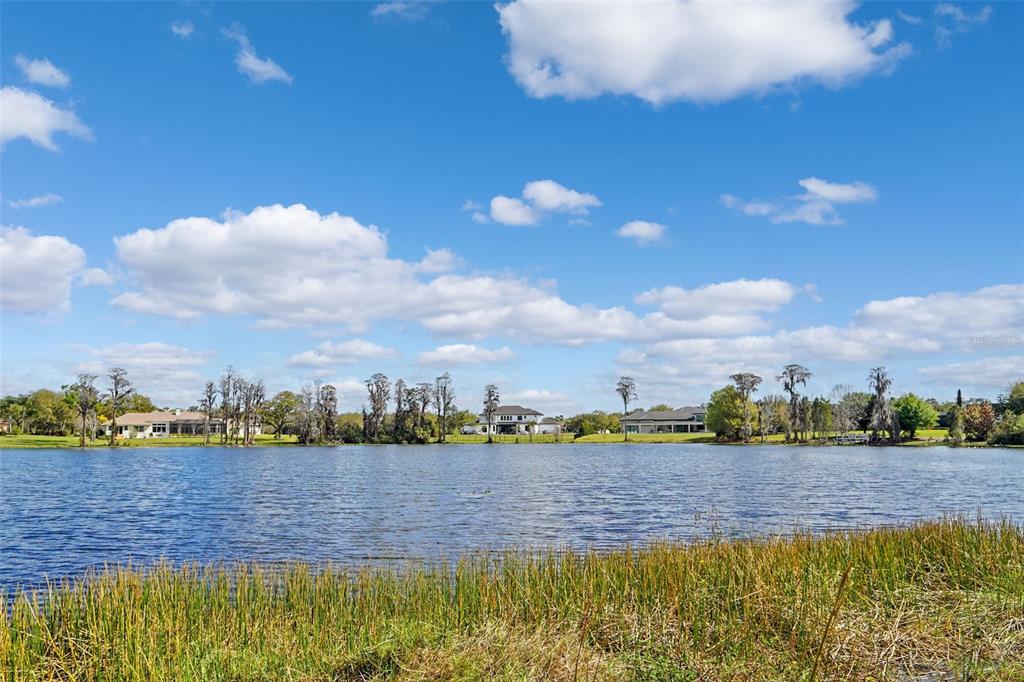 18709 Wayne Road Odessa, FL 33556 - Photo 12 of 34 a view of a city