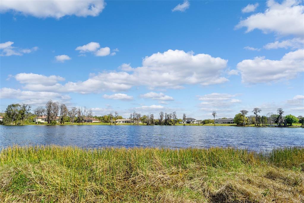 18709 Wayne Road Odessa, FL 33556 - Photo 13 of 34 a view of outside space yard and lake view