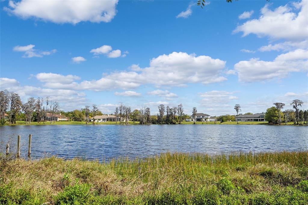 18709 Wayne Road Odessa, FL 33556 - Photo 14 of 34