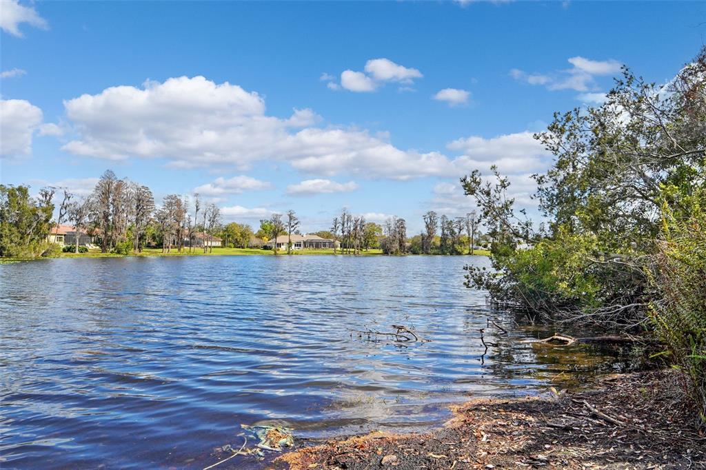 18709 Wayne Road Odessa, FL 33556 - Photo 15 of 34 a view of a lake