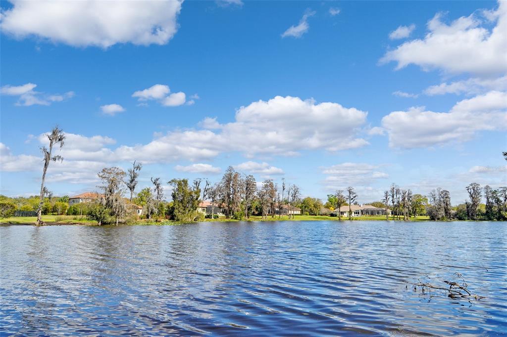 18709 Wayne Road Odessa, FL 33556 - Photo 16 of 34 a view of a lake