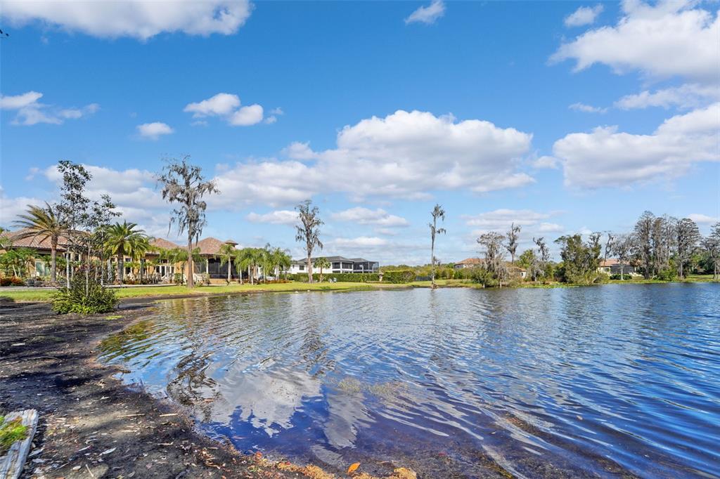 18709 Wayne Road Odessa, FL 33556 - Photo 18 of 34 a view of a lake with houses