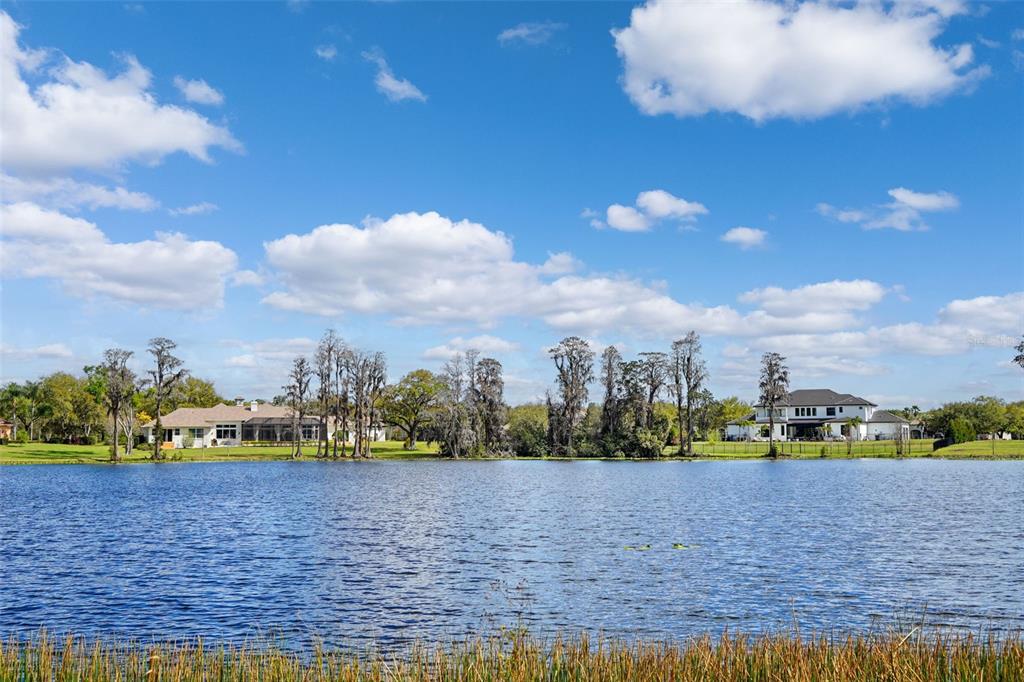 18709 Wayne Road Odessa, FL 33556 - Photo 20 of 34 a view of a lake
