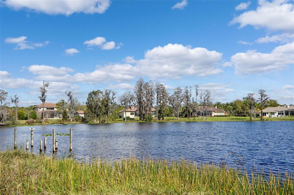 18709 Wayne Road Odessa, FL 33556 - Photo 21 of 34 a view of a lake