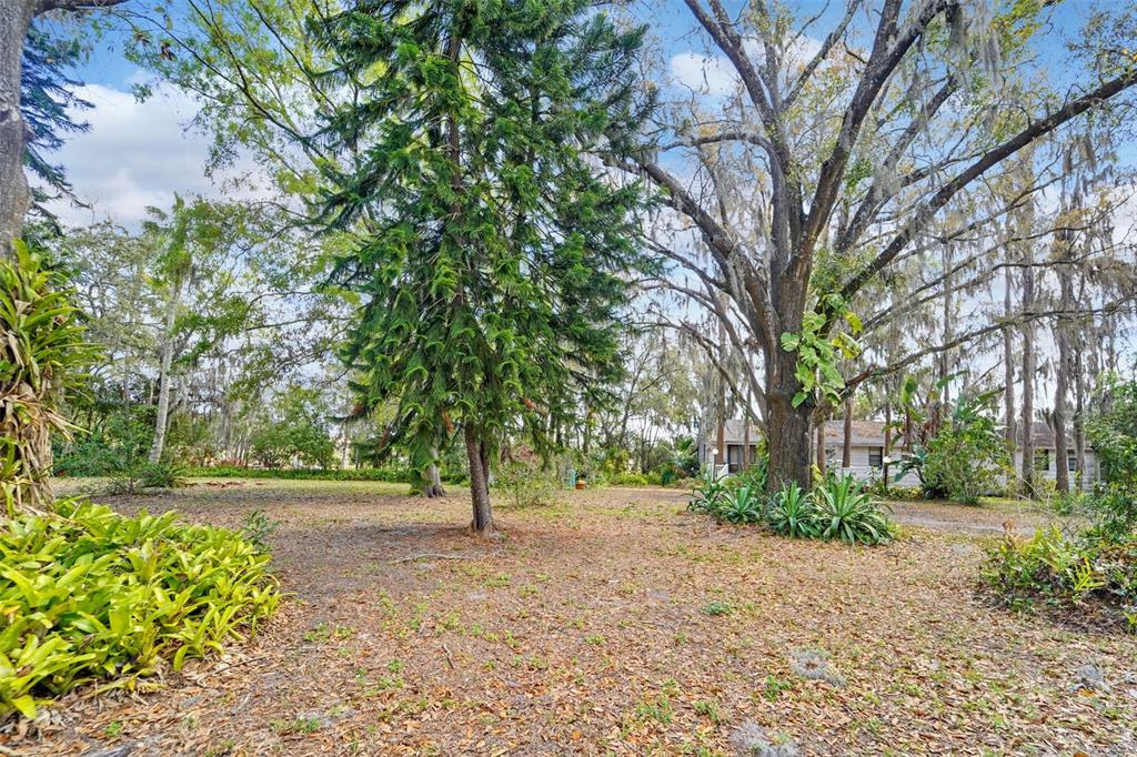 18709 Wayne Road Odessa, FL 33556 - Photo 24 of 34 a view of backyard with green space
