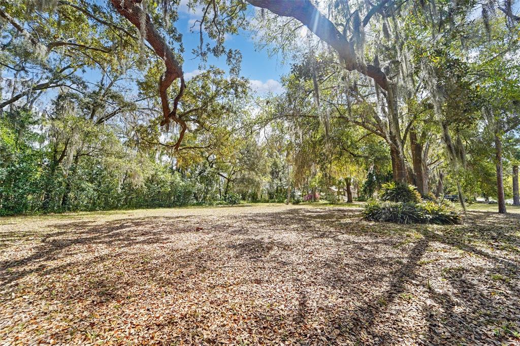 18709 Wayne Road Odessa, FL 33556 - Photo 25 of 34 a view of a yard with a tree