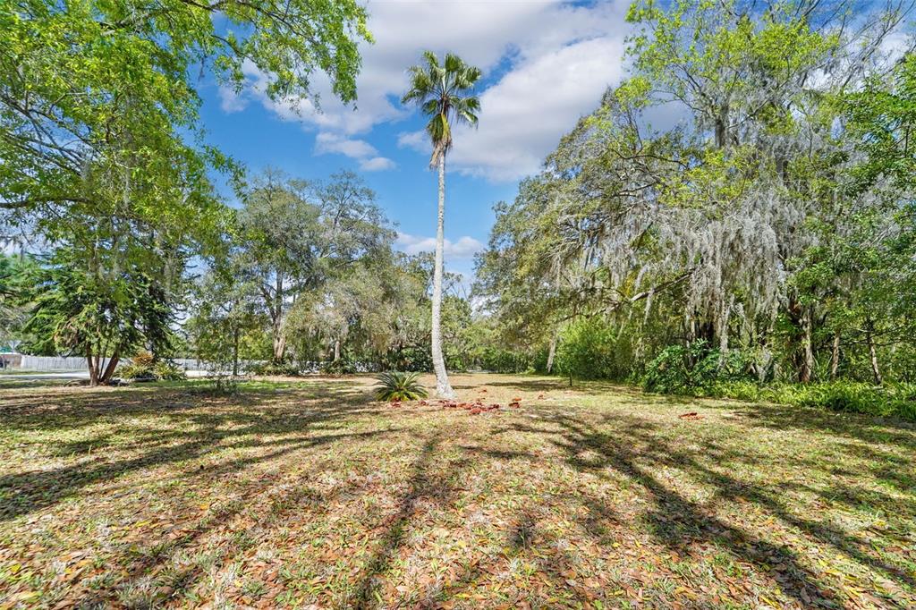 18709 Wayne Road Odessa, FL 33556 - Photo 27 of 34 a view of a yard with a tree