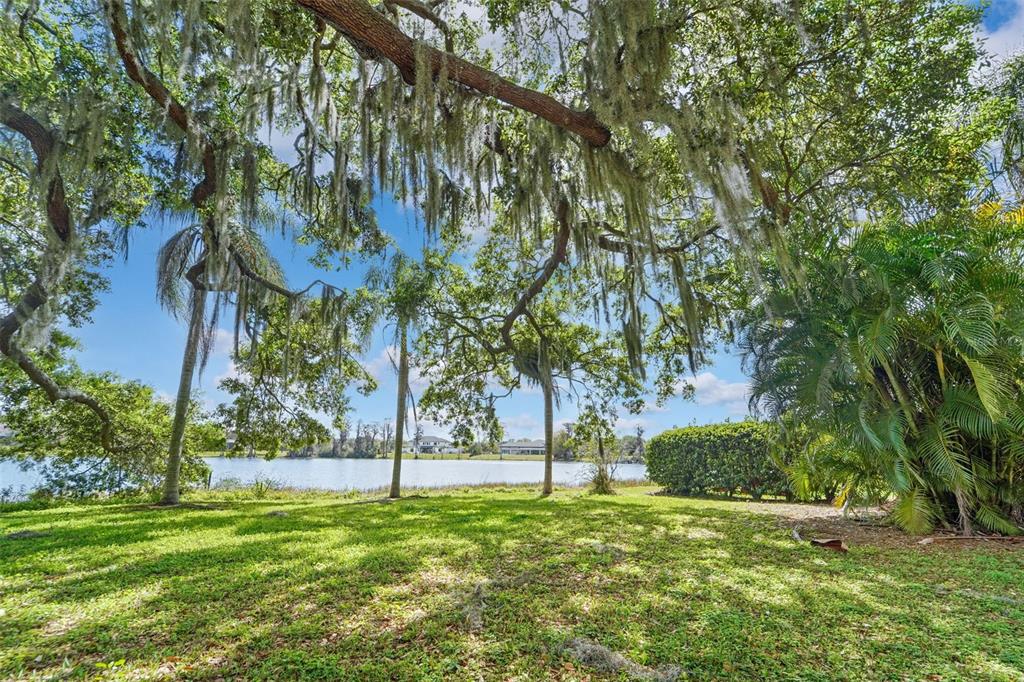 18709 Wayne Road Odessa, FL 33556 - Photo 28 of 34 a view of a field with a tree