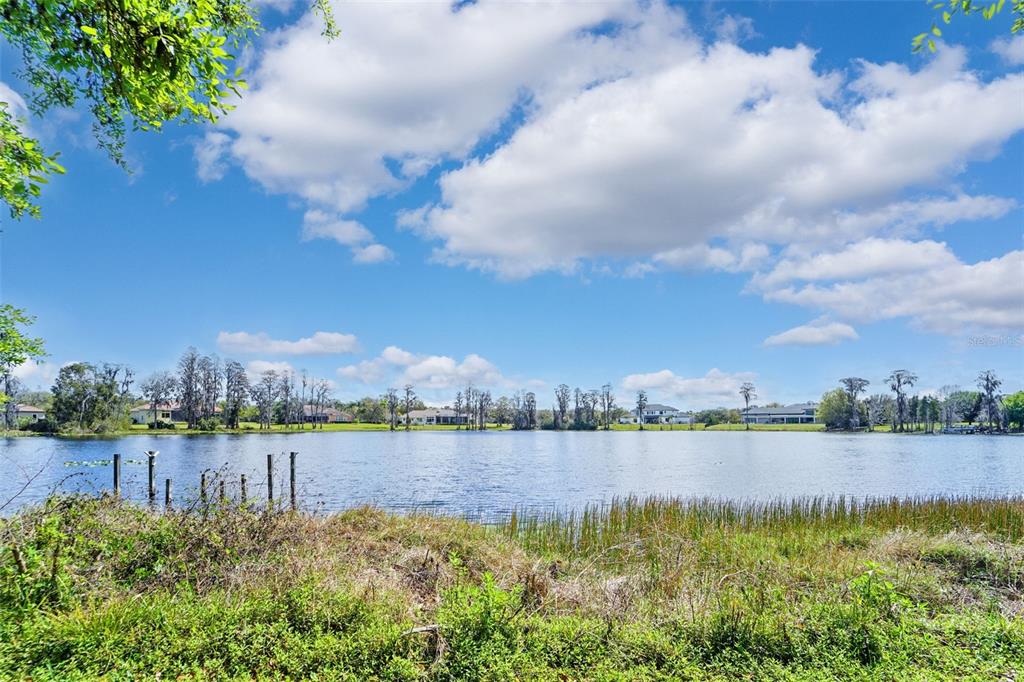 18709 Wayne Road Odessa, FL 33556 - Photo 29 of 34 a view of a lake with houses in the back