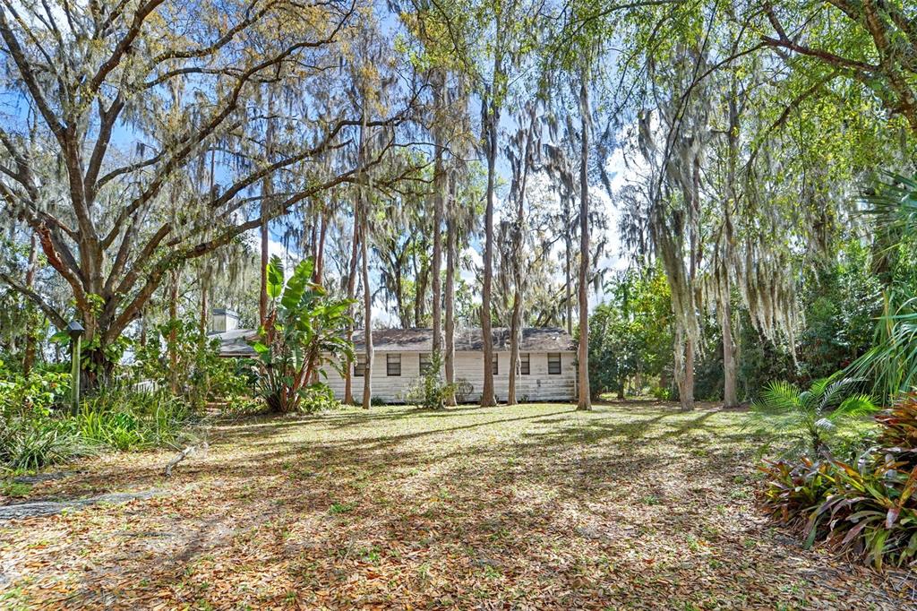 18709 Wayne Road Odessa, FL 33556 - Photo 4 of 34 a house with trees in front of it