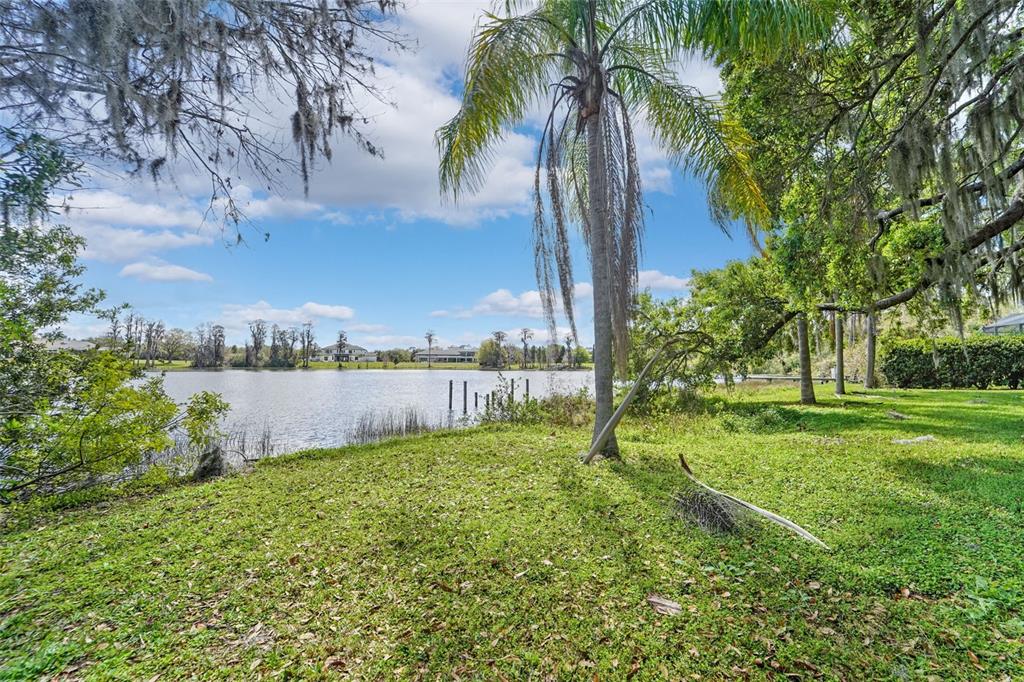 18709 Wayne Road Odessa, FL 33556 - Photo 7 of 34 a view of an outdoor space and a yard