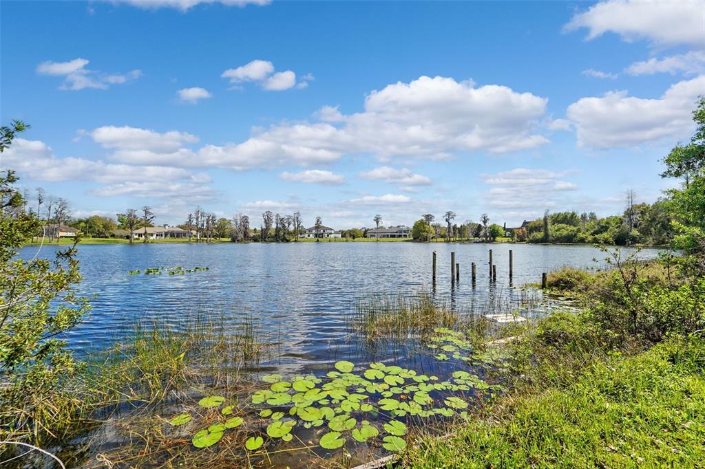18709 Wayne Road Odessa, FL 33556 - Photo 8 of 34 a view of a lake with a city