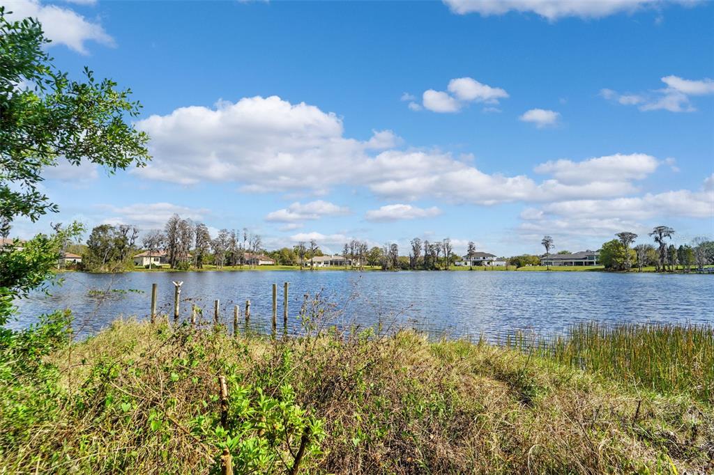 18709 Wayne Road Odessa, FL 33556 - Photo 10 of 34 a view of lake with houses