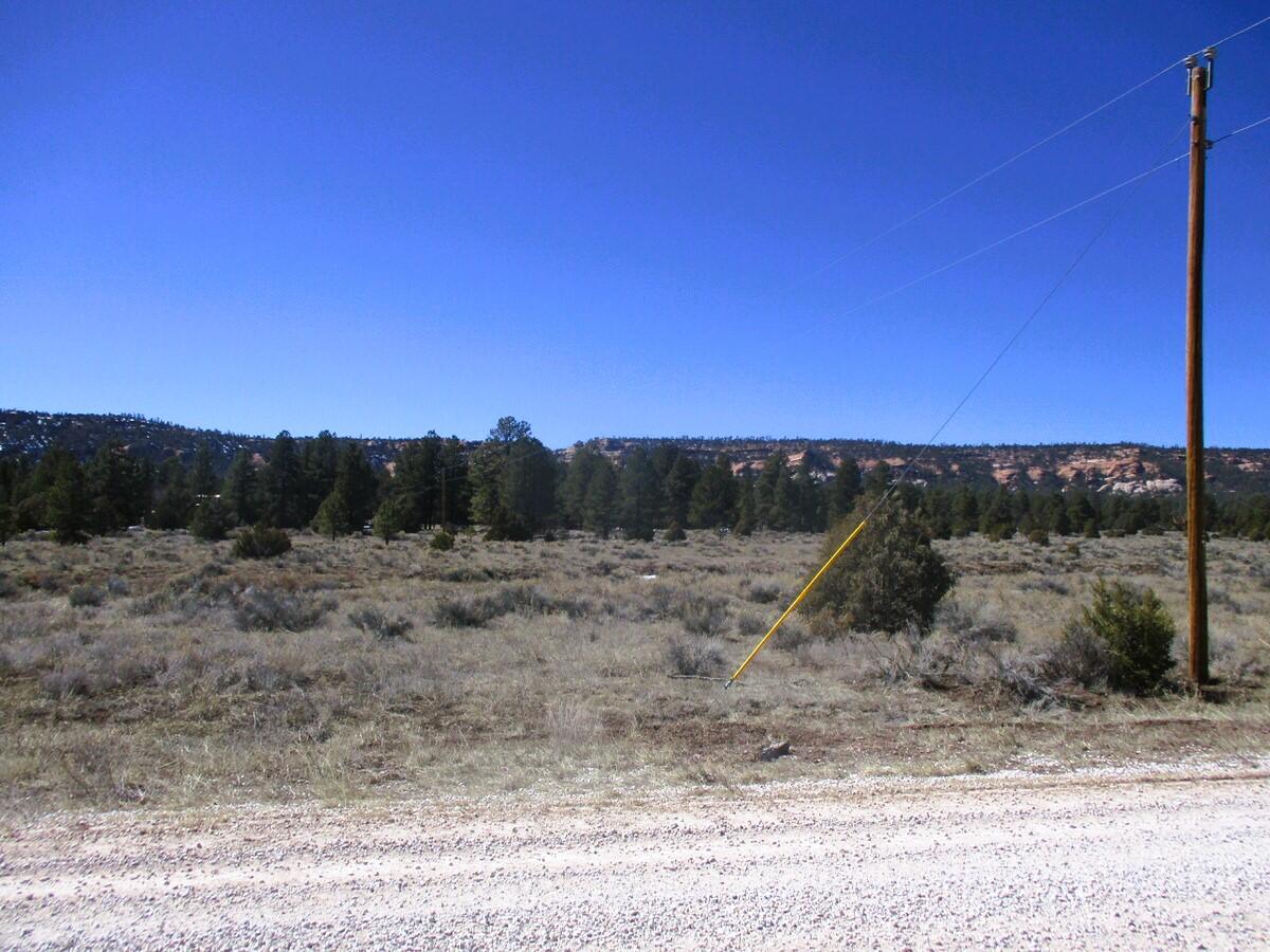 Lot 10 Sagebrush Road Ramah, NM 87321 - Photo 15 of 90 Gallery Image 15