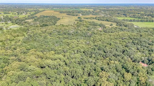 $312,000 | 368 Northwest 131st Highway, Holden, MO 64040