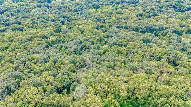 $312,000 | 368 Northwest 131st Highway, Holden, MO 64040