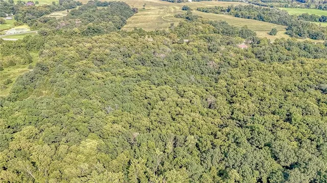 $312,000 | 368 Northwest 131st Highway, Holden, MO 64040