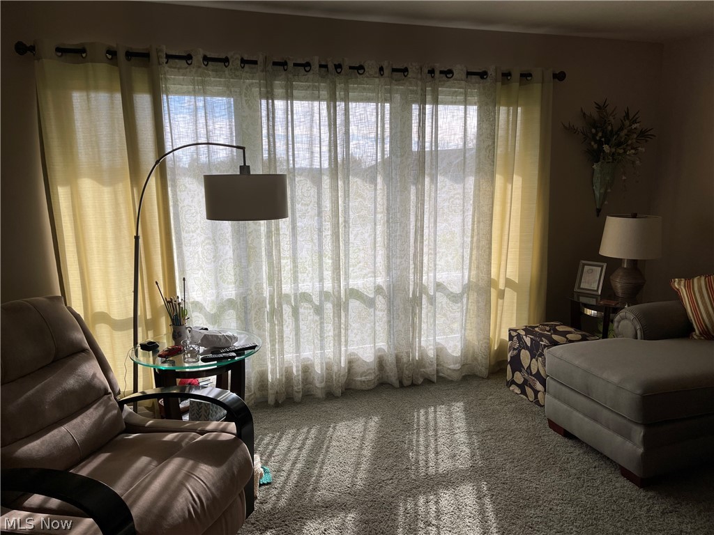 55761 High Ridge Road Bellaire, OH 43906 - Photo 15 of 35 Gallery Image 15