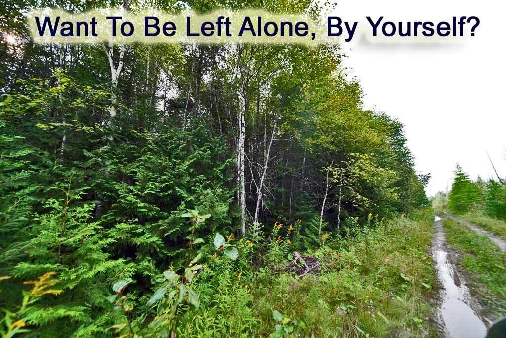 Lot 7 Off Pulcifer Road Mapleton, ME 04757 - Photo 4 of 11 off-pulcifer-rd-mapleton-me