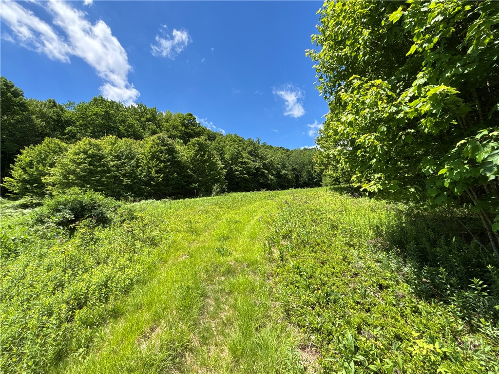 2613 Murphy Hill Road Andes, NY 13731 - Photo 23 of 35