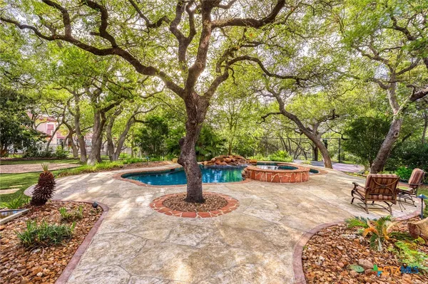 a view of a park with large trees