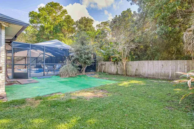 a view of a backyard with plants and large trees