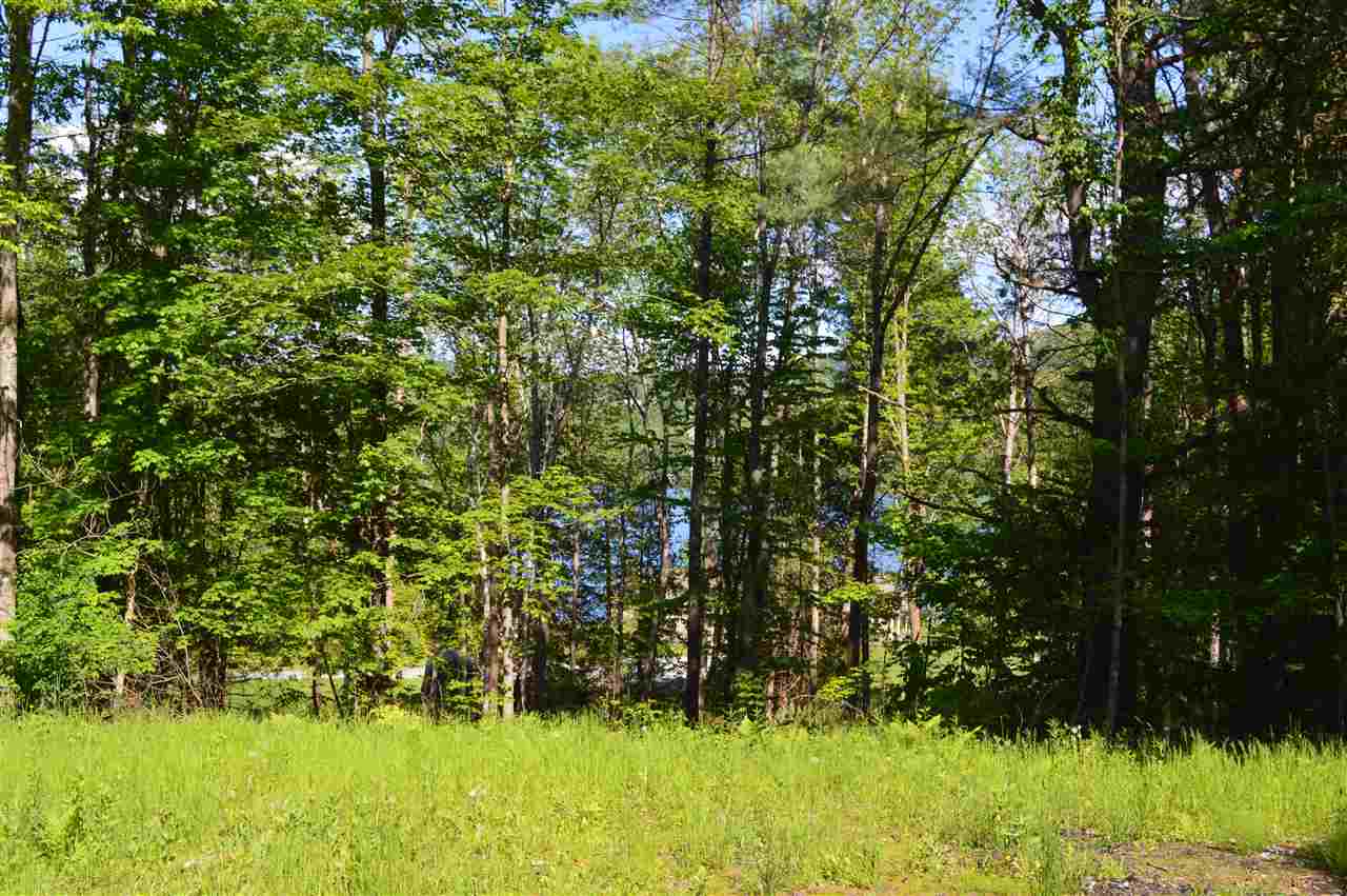 789 Harvey Mountain Road Barnet, VT 05821 - Photo 3 of 12