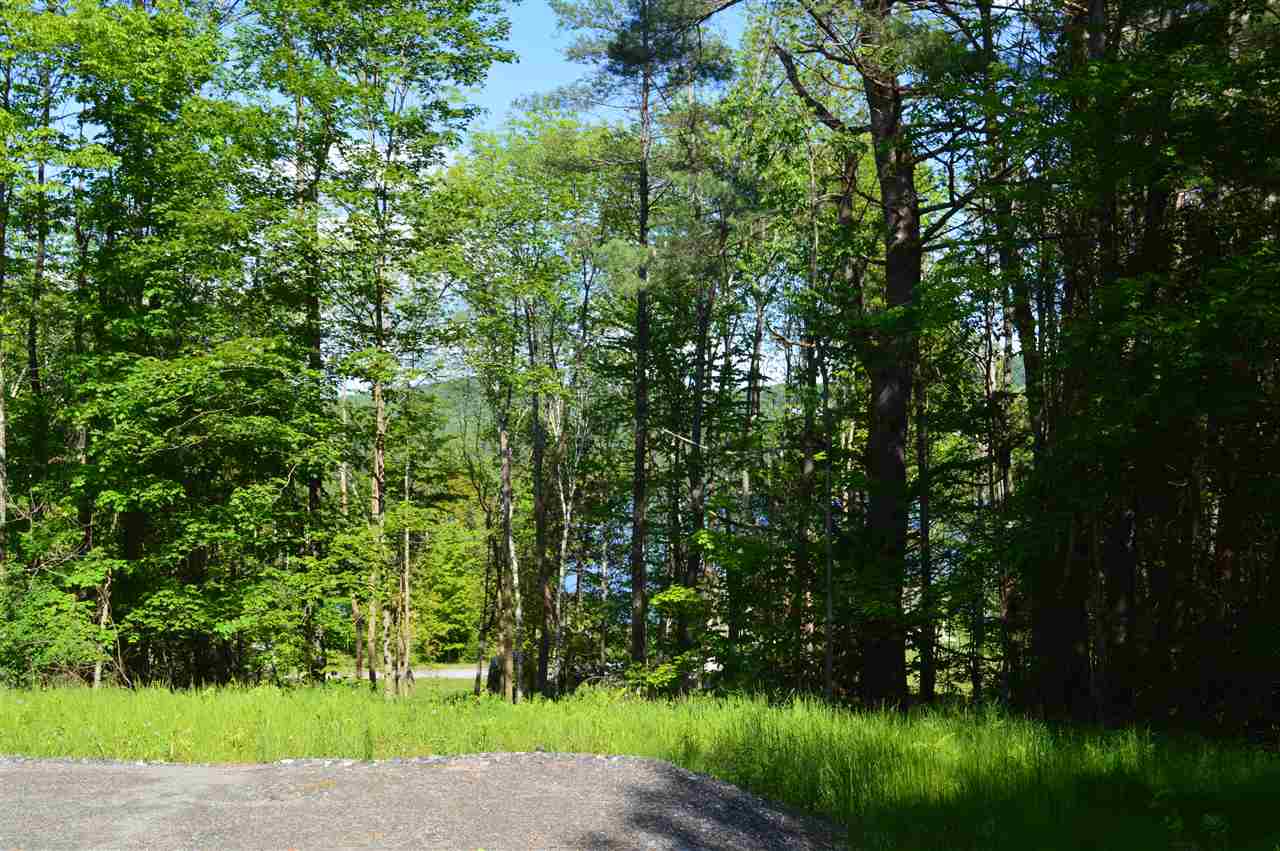 789 Harvey Mountain Road Barnet, VT 05821 - Photo 9 of 12