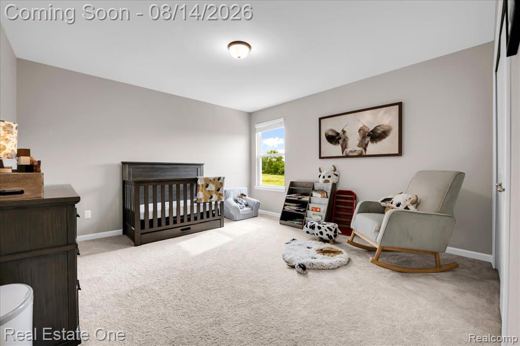 72221 Fisher Road Romeo, MI 48065 - Photo 24 of 40 Gallery Image 24